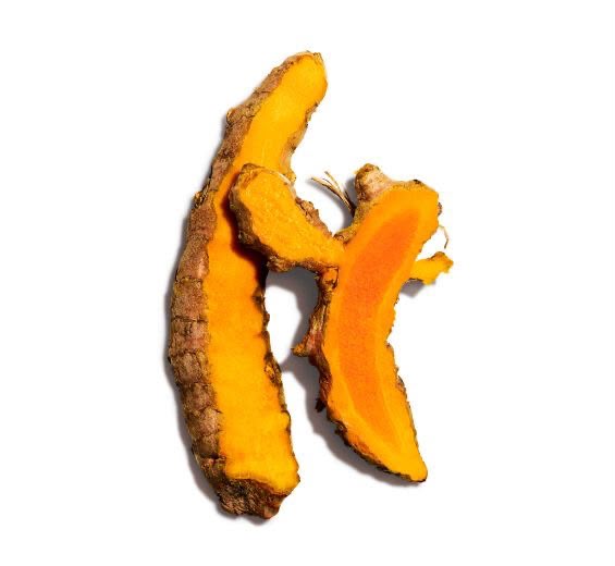 CURCUMA